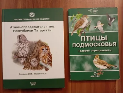 Образы живой природы в литературных произведениях — фото 1