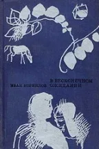 Вечер памяти старейшего писателя Саратовской области И.М.Корнилова — фото 4